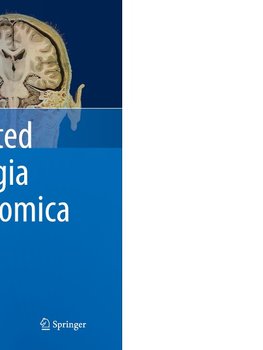 An Illustrated Terminologia Neuroanatomica