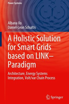 A Holistic Solution for Smart Grids based on LINK- Paradigm