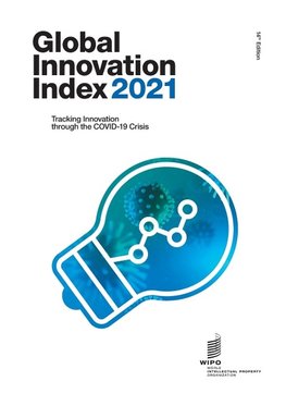 Global Innovation Index 2021