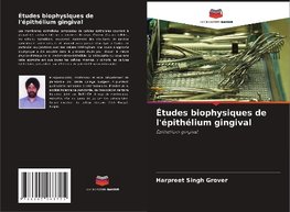 Études biophysiques de l'épithélium gingival