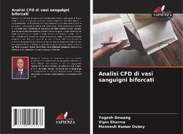 Analisi CFD di vasi sanguigni biforcati