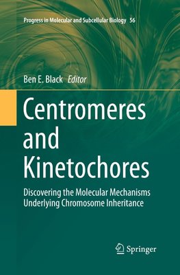 Centromeres and Kinetochores