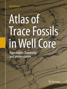 Atlas of Trace Fossils in Well Core