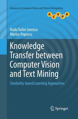 Knowledge Transfer between Computer Vision and Text Mining