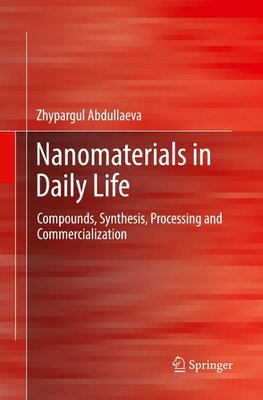 Nanomaterials in Daily Life