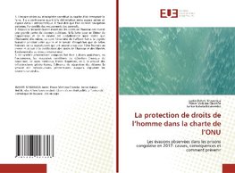 La protection de droits de l'homme dans la charte de l'ONU