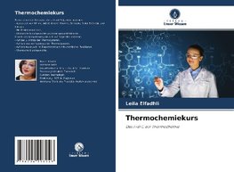 Thermochemiekurs