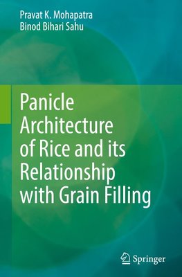 Panicle Architecture of Rice and its Relationship with Grain Filling