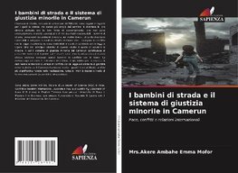 I bambini di strada e il sistema di giustizia minorile in Camerun