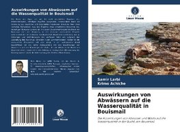 Auswirkungen von Abwässern auf die Wasserqualität in Bouismail