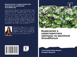 Vydelenie i harakteristika proteazy iz Jasminum Grandiflorum