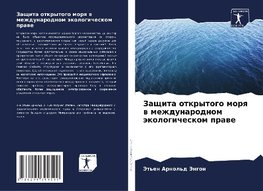 Zaschita otkrytogo morq w mezhdunarodnom äkologicheskom prawe