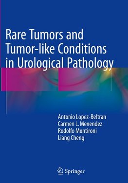 Rare Tumors and Tumor-like Conditions in Urological Pathology