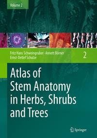 Atlas of Stem Anatomy in Herbs, Shrubs and Trees