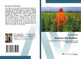 Analyse des Bodens