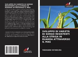 SVILUPPO DI VARIETÀ DI SORGO RESISTENTI ALLA STRIGA IN RUANDA ATTRAVERSO IL MAS