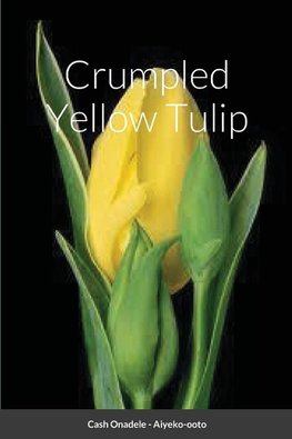 Crumpled Yellow Tulip