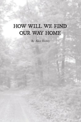 How Will We Find Our Way Home