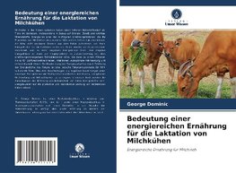 Bedeutung einer energiereichen Ernährung für die Laktation von Milchkühen