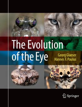 The Evolution of the Eye