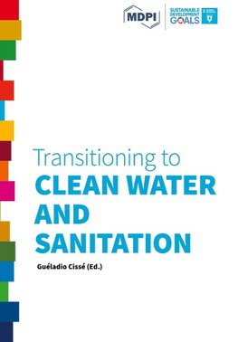 Transitioning to Clean Water and Sanitation