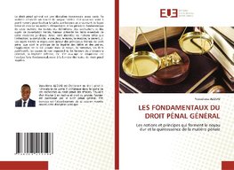 LES FONDAMENTAUX DU DROIT PÉNAL GÉNÉRAL