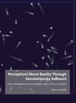 Perceptions About Reality Through Simulations by Software