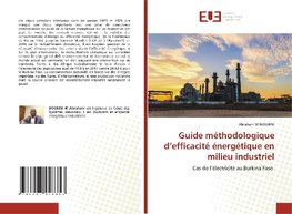 Guide méthodologique d'efficacité énergétique en milieu industriel