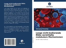 Lange nicht-kodierende RNAs vermittelte molekulare Mechanismen