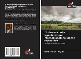 L'influenza delle organizzazioni internazionali nel paese postbellico