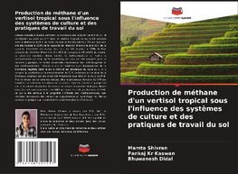 Production de méthane d'un vertisol tropical sous l'influence des systèmes de culture et des pratiques de travail du sol