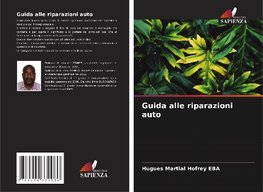 Guida alle riparazioni auto