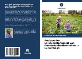 Analyse der Leistungsfähigkeit von Gemüseanbaubetrieben in Lubumbashi