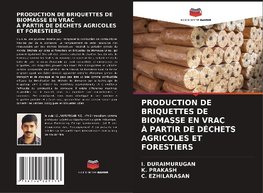 PRODUCTION DE BRIQUETTES DE BIOMASSE EN VRAC À PARTIR DE DÉCHETS AGRICOLES ET FORESTIERS