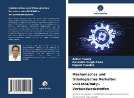 Mechanisches und tribologisches Verhalten vonLM24/B4Cp-Verbundwerkstoffen