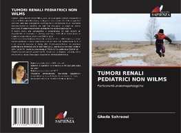 TUMORI RENALI PEDIATRICI NON WILMS