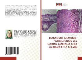 DIAGNOSTIC ANATOMO-PATHOLOGIQUE DES LESIONS GENITALES CHEZ LA BREBIS ET LA CHÈVRE