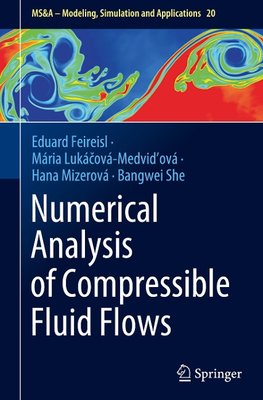 Numerical Analysis of Compressible Fluid Flows