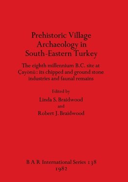 Prehistoric Village Archaeology in South-Eastern Turkey