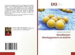 Bioadhésion: Développement en biofilm