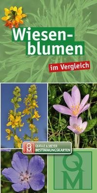 Wiesenblumen im Vergleich - 10er-Set