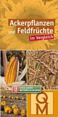 Ackerpflanzen und Feldfrüchte im Vergleich - 10er-Set