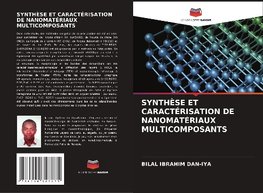 SYNTHÈSE ET CARACTÉRISATION DE NANOMATÉRIAUX MULTICOMPOSANTS