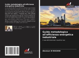 Guida metodologica all'efficienza energetica industriale