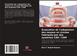 Évaluation de l'adaptation des noyaux en zircone fabriqués par des systèmes CAD / CAM