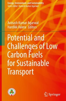 Potential and Challenges of Low Carbon Fuels for Sustainable Transport