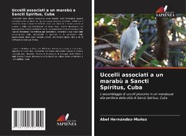 Uccelli associati a un marabù a Sancti Spíritus, Cuba