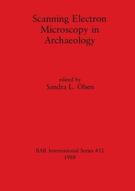 Scanning Electron Microscopy in Archaeology