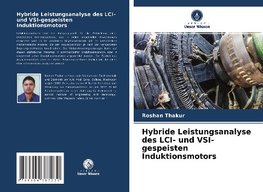 Hybride Leistungsanalyse des LCI- und VSI-gespeisten Induktionsmotors