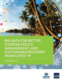 Big Data for Better Tourism Policy, Management, and Sustainable Recovery from COVID-19